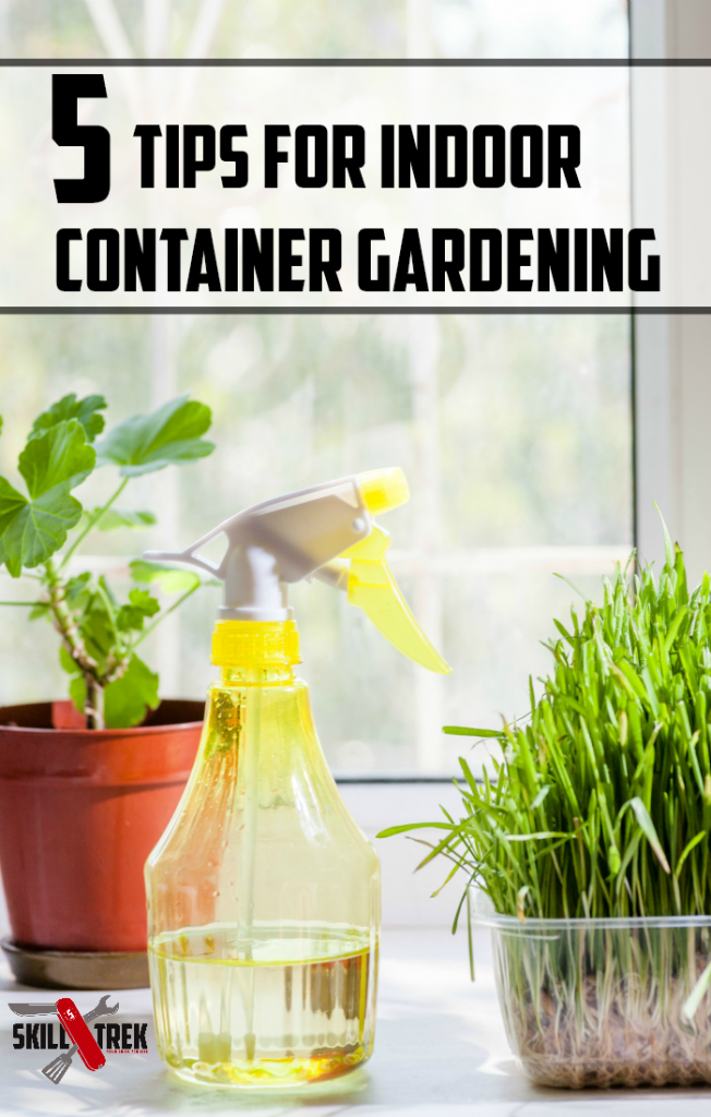 No outdoor space for a garden? Consider starting a garden indoors! Here are 5 tips to help you begin indoor container gardening today.